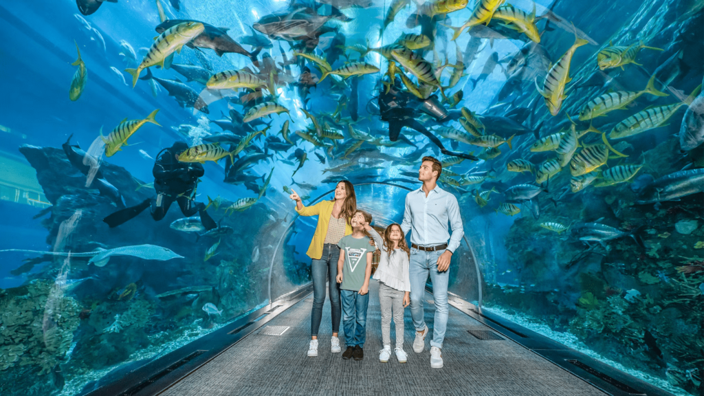 Explore Dubai Aquarium