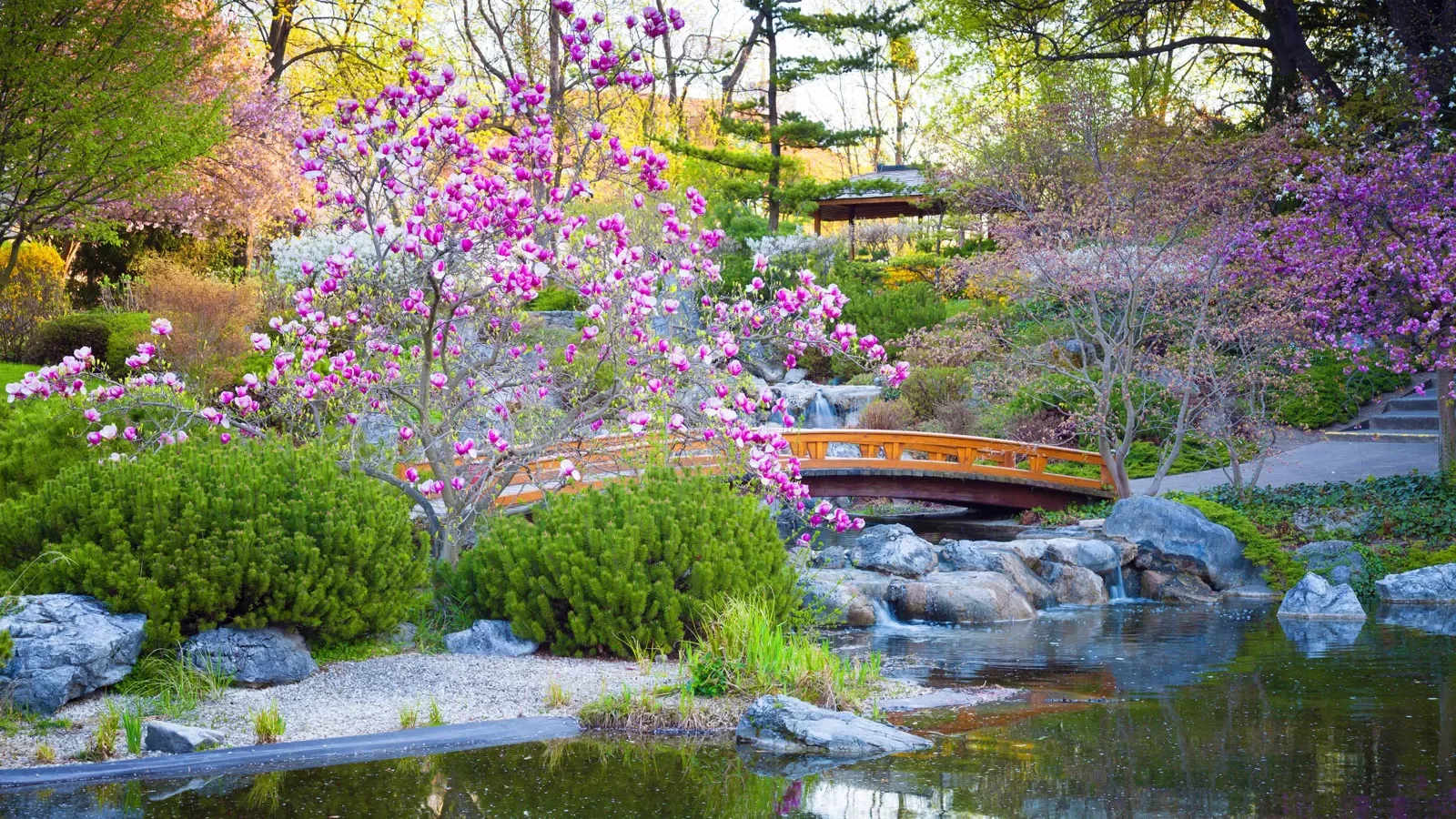 Japanese Zen garden