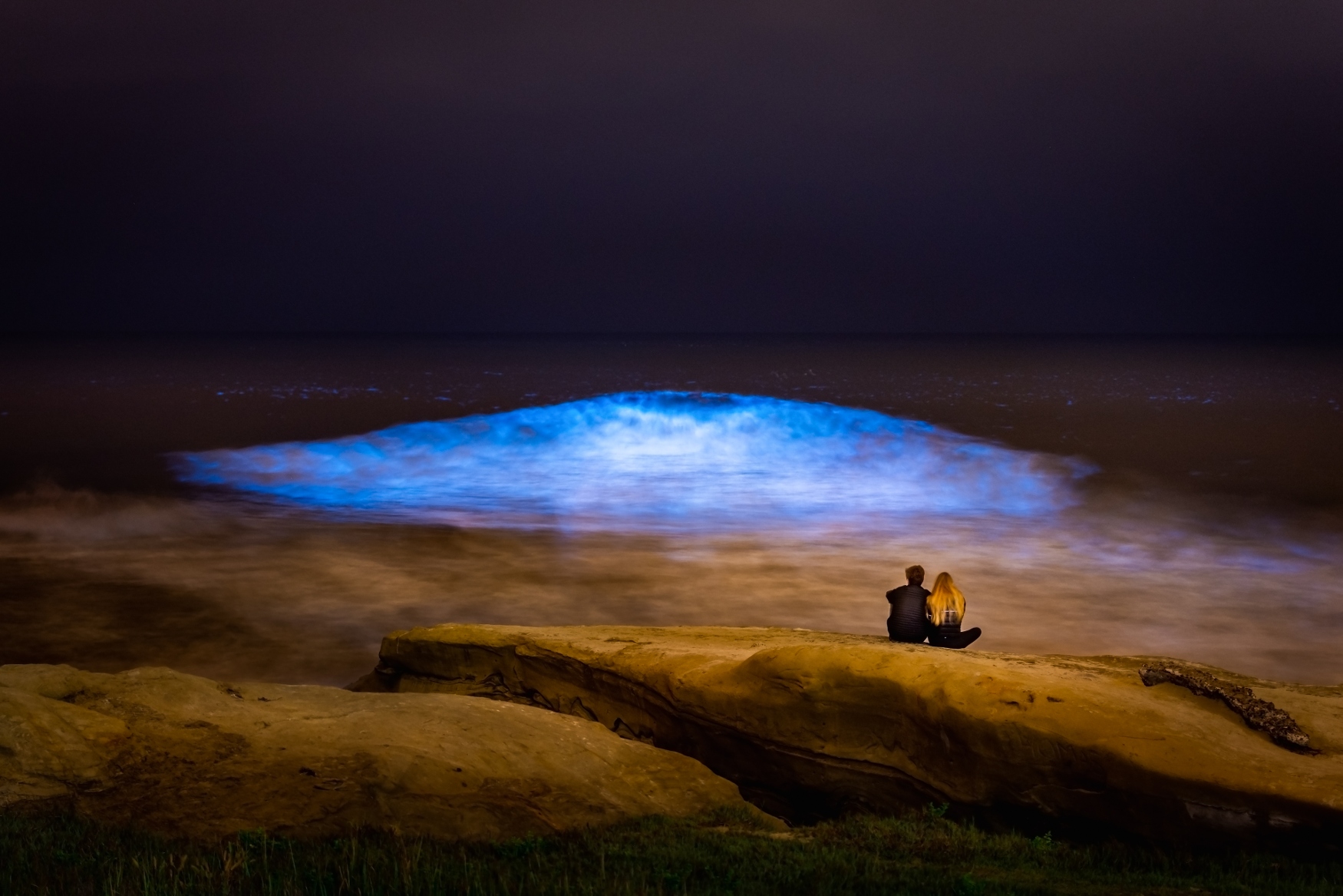 Torrey Pines Beach in San Diego a best bioluminescent beaches in the world