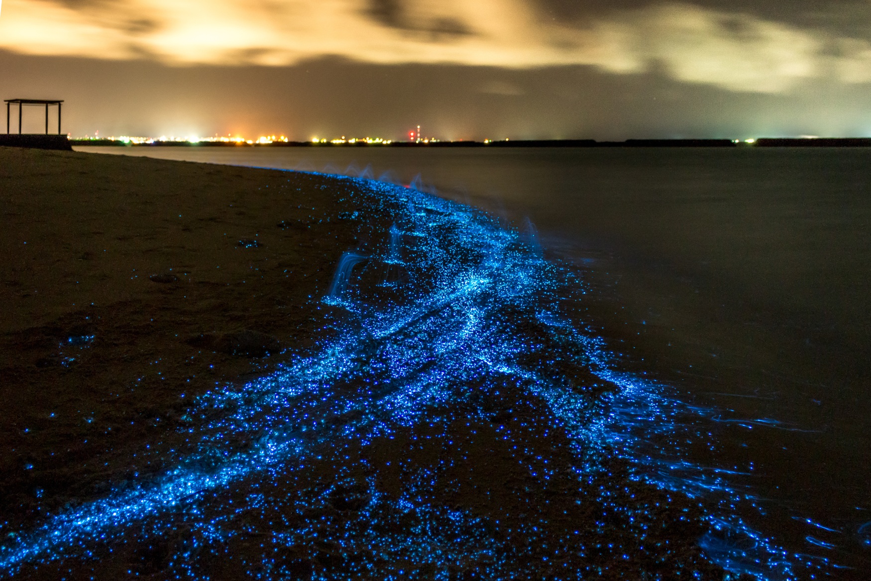 Sea of Stars – Vaadhoo in Maldives a best bioluminescent beaches in the world