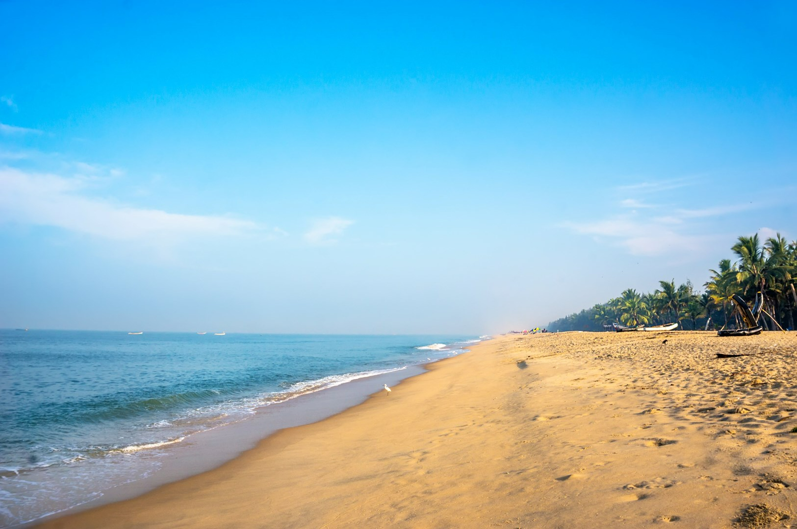 Tropical Beaches in Kerala