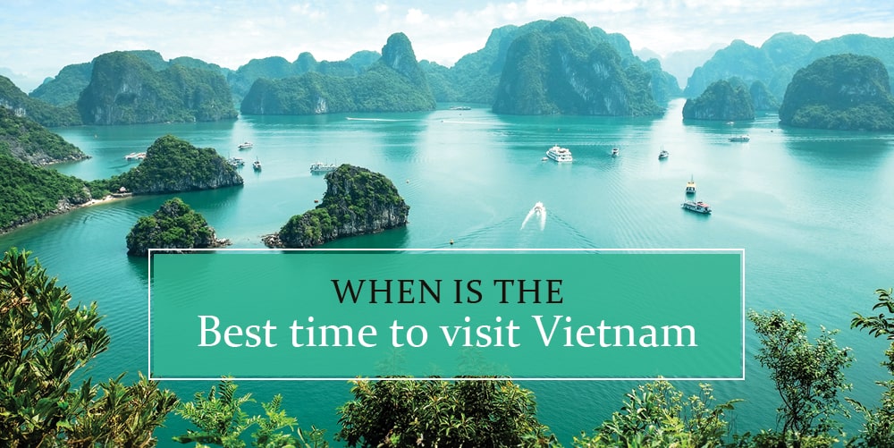 This is The Best Time to Visit Vietnam In 2024
