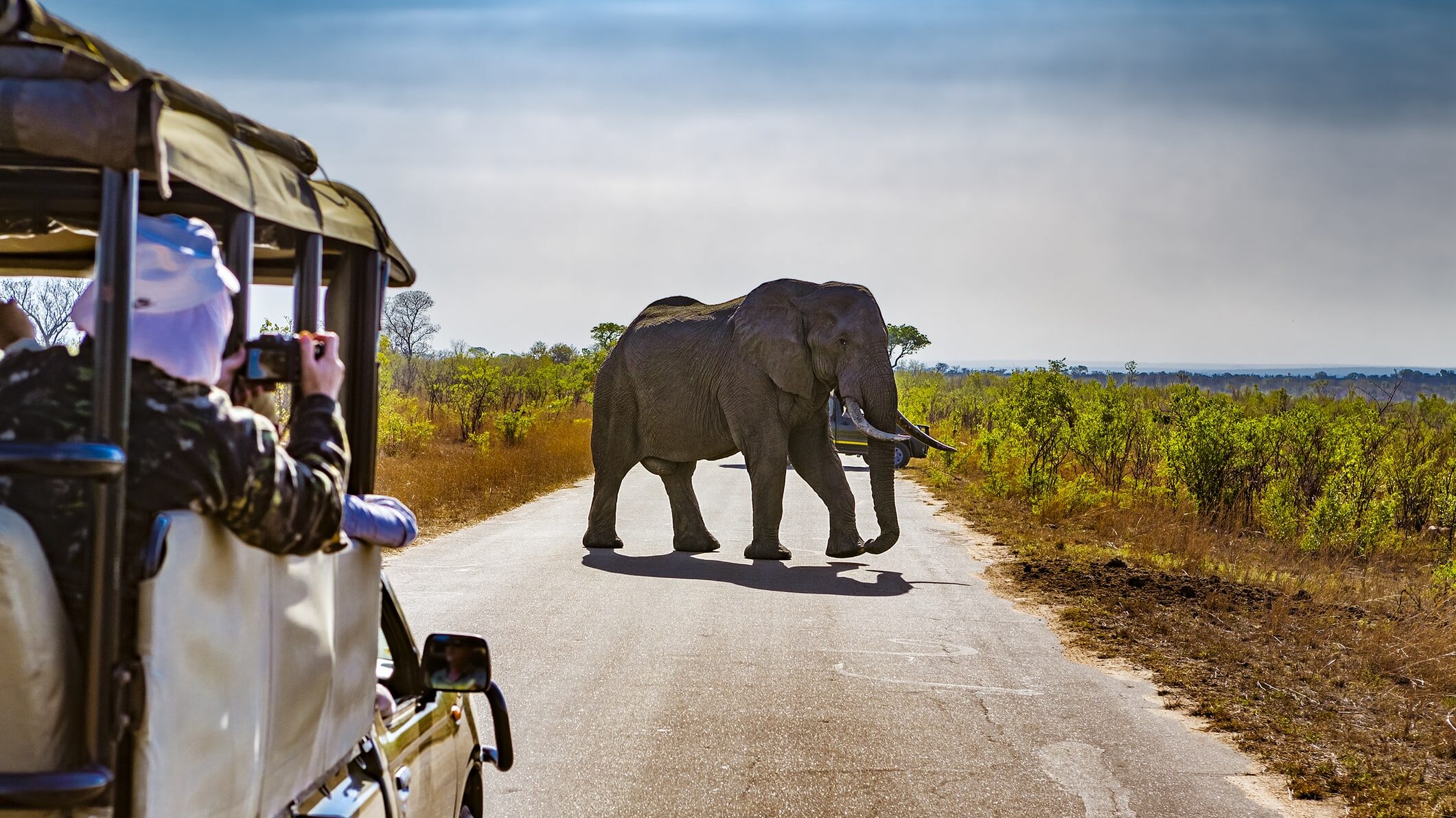 Visit South Africa, Safari in Kruger National Park