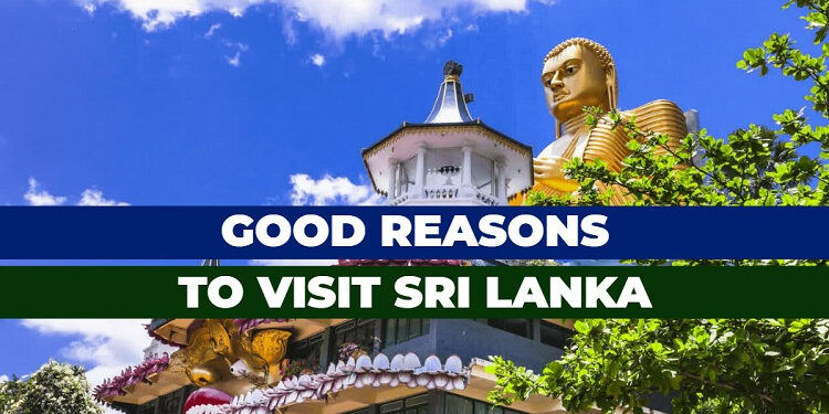 Good Reasons to Visit Sri Lanka