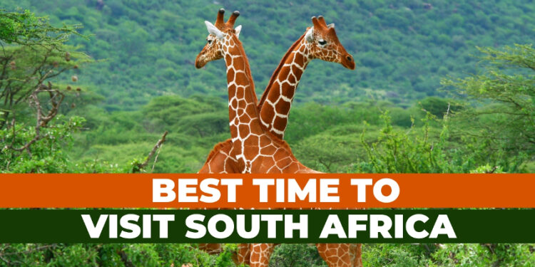 when to travel to South Africa