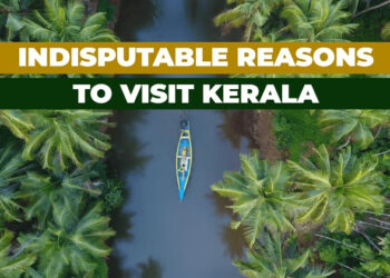 Here's Why You Should Visit Kerala