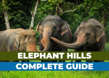 Get Ready to Explore the Best of Elephant Hills