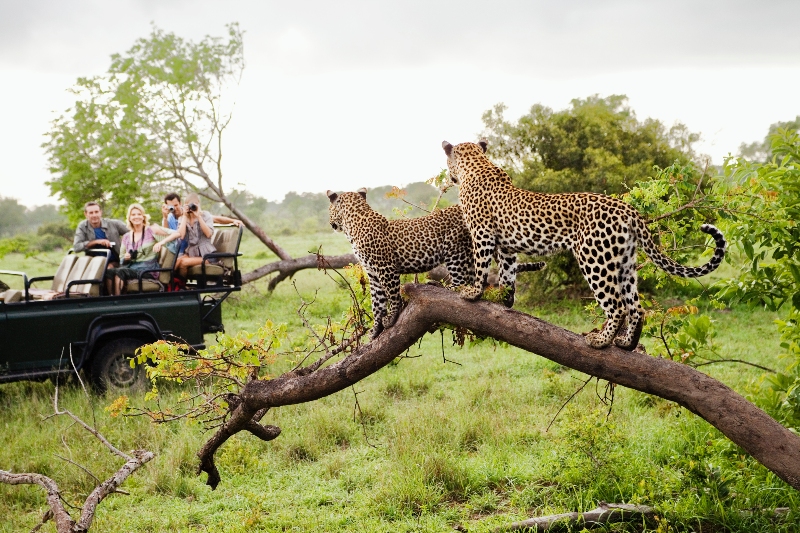 Kruger National Park a best holiday destination in July