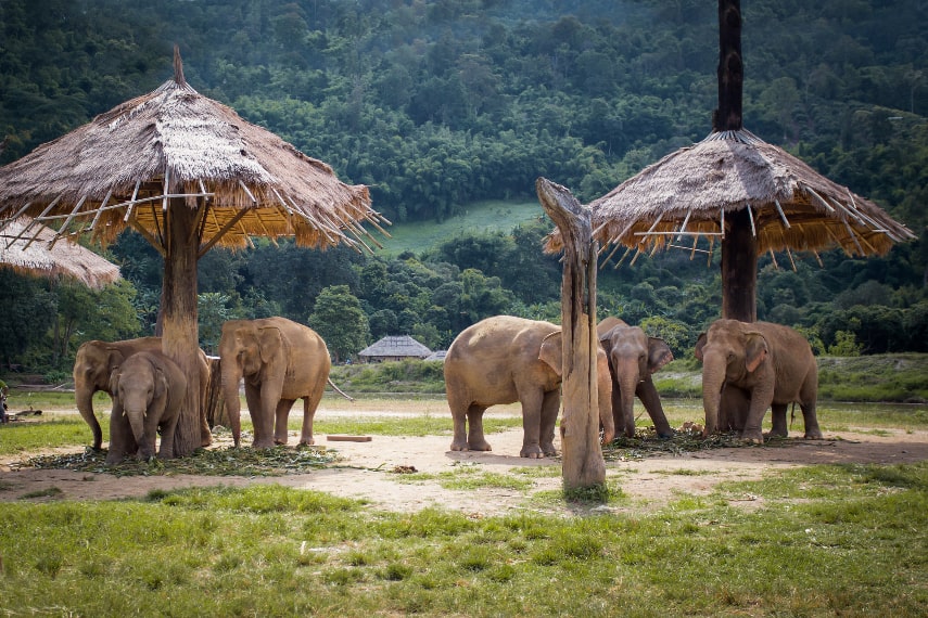 Chiang Mai, Thailand a best holiday destination in november