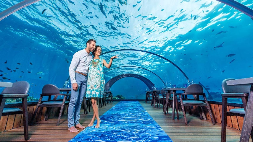 5.8 Undersea Restaurant a best underwater restaurant in Maldives
