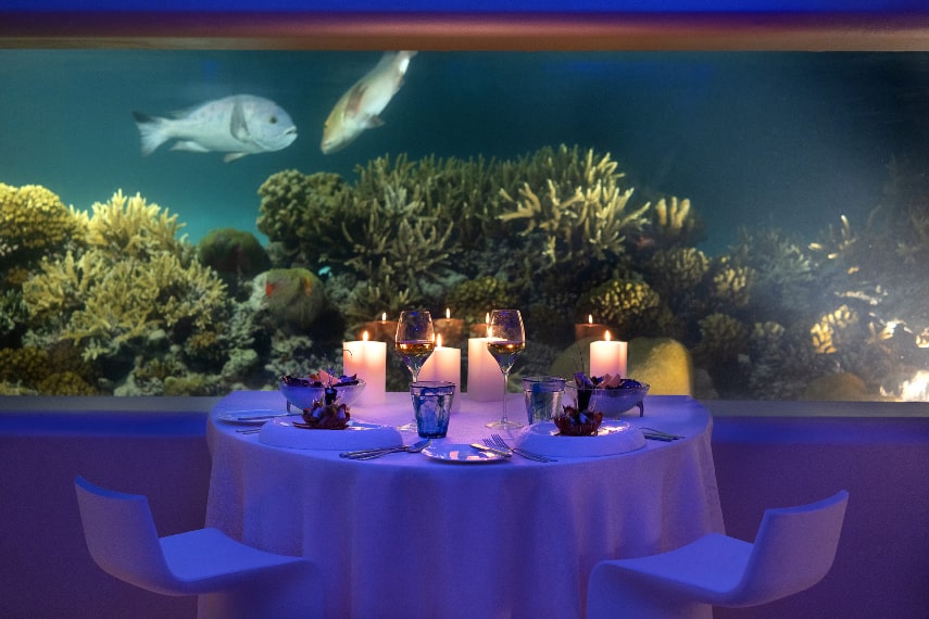 IMMERSE… Latitude 4° a best underwater restaurant in Maldives
