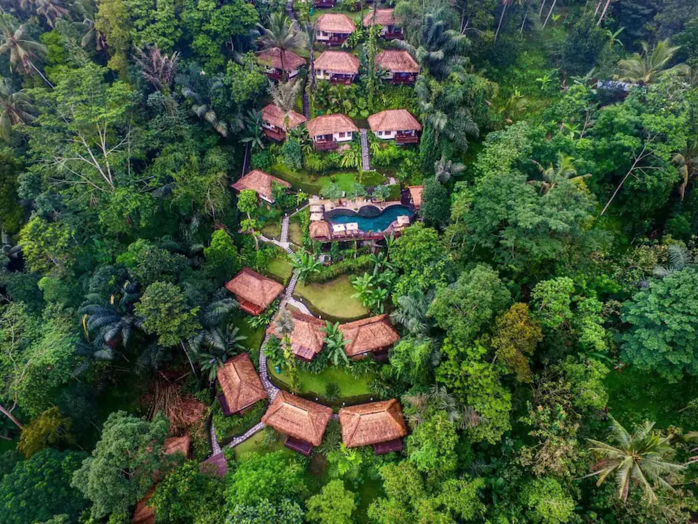 Nandini Jungle Resort and Spa aerial