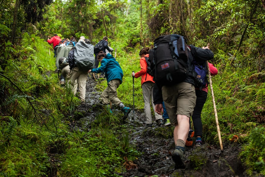 Visit Rwanda for gorilla trekking