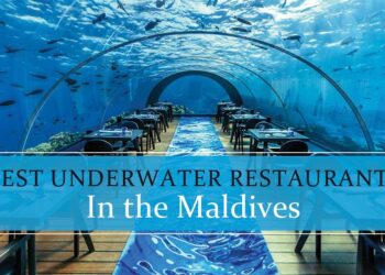 Best Underwater Restaurants in the Maldives