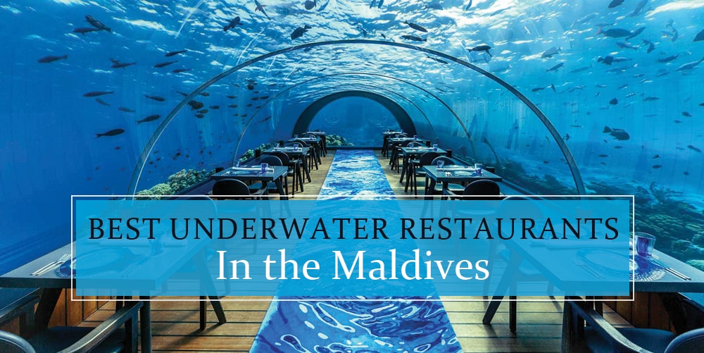 The sea restaurant discount