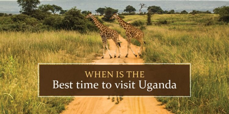 When to visit Uganda