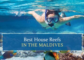 maldives travel in july