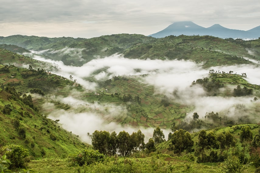 Bwindi Impenetrable Forest, Uganda a best holiday destination in February