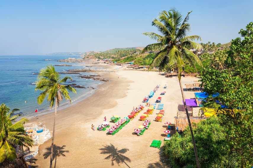 Don't miss to visit Goa in peak season