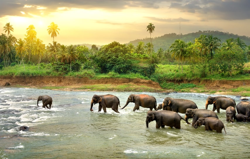 Sri Lanka a best holiday destination in March