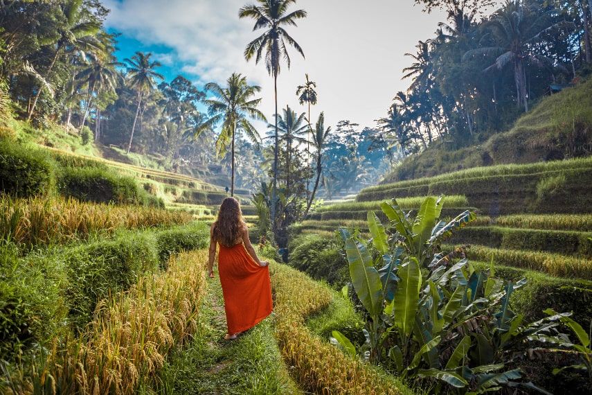 Weather in Bali in February