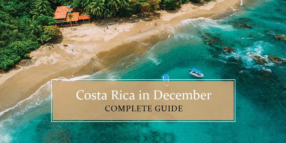 Costa Rica in December 2024 A Comprehensive Guide