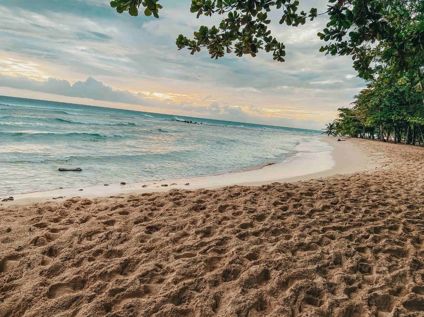 beaches in Barbados in January