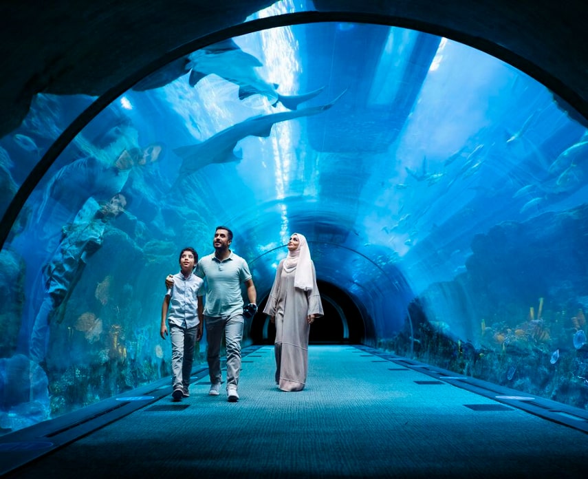 Visit the Dubai Aquarium