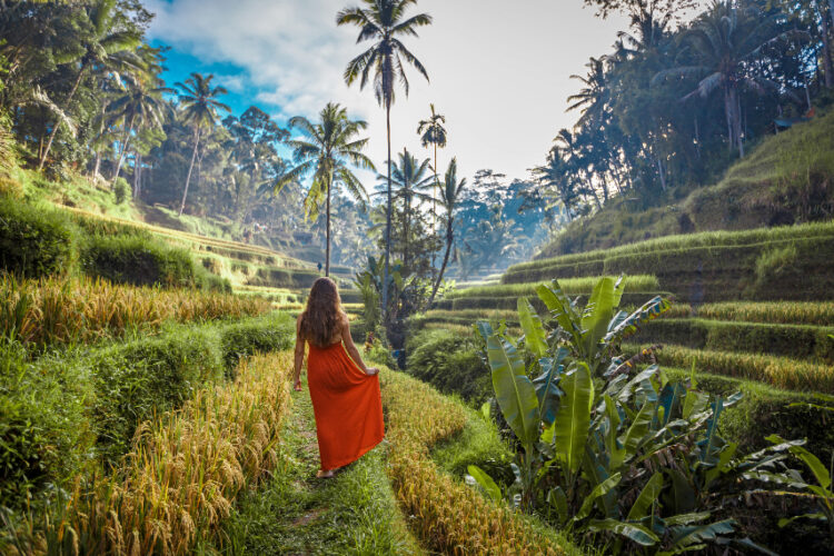 Bali In August 2024 A Guide For Everything To Know!