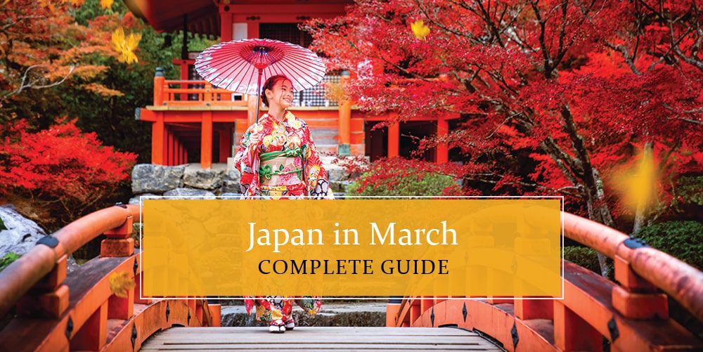 Japan in March 2025 A Guide For Everything To Know!