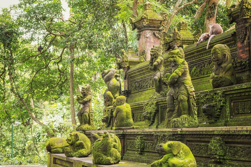 What to Do in the Bali in October