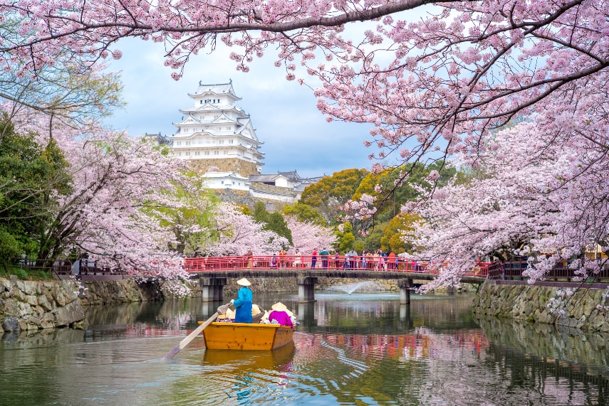 What to Do in Japan in March