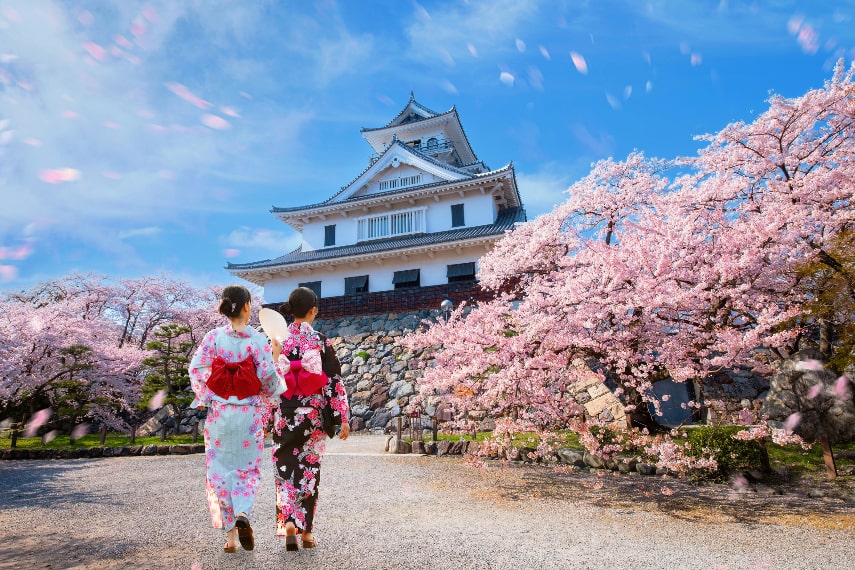 Cherry Blossom Dates