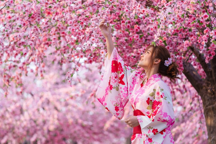 Meaning and symbol of Cherry Blossoms