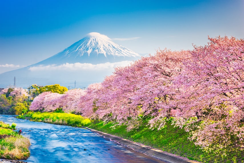 Weather in Japan in May