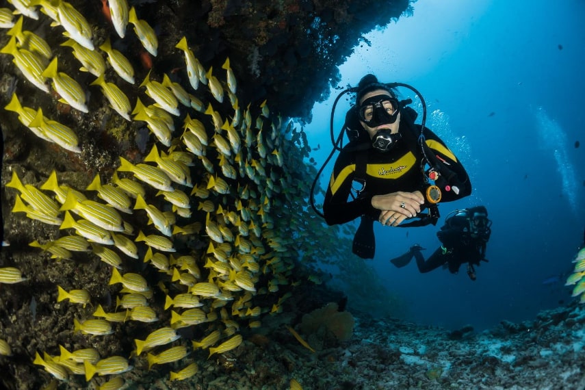 Exploring Egypt's Hidden Wonders: A Beginner's Guide to Scuba Diving in The Red Sea - Learning Opportunities for Beginners