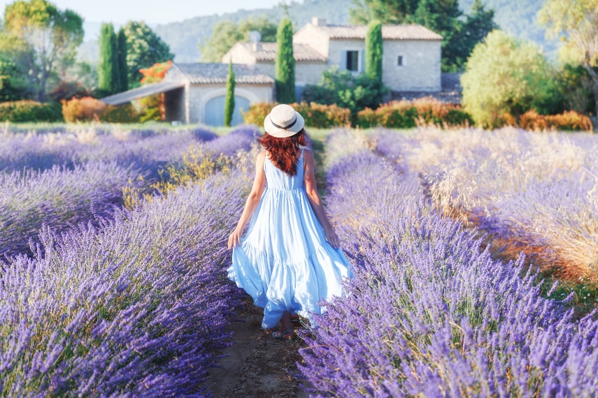 Provence a best warmest destination in July