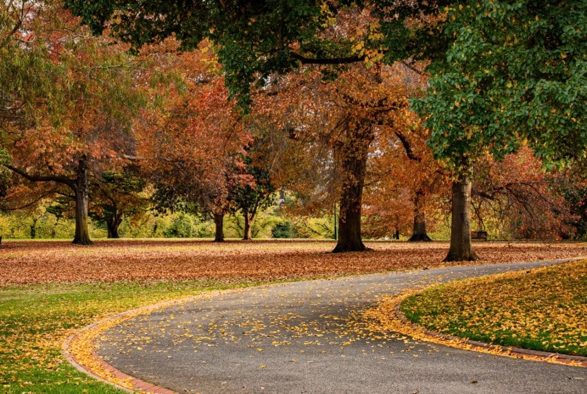 Visit Royal botanic gardens Melbourne in April